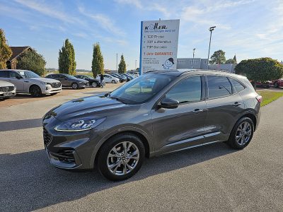 Ford Kuga 2,0 EcoBlue Hybrid ST-Line X bei autohaus-koller in 